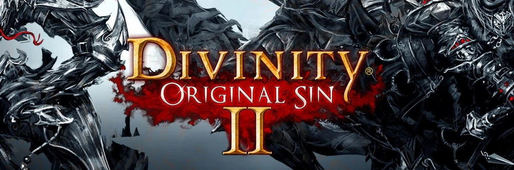 Divinity: Original Sin 2